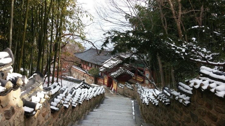 Nature view at Tongdosa hermitage