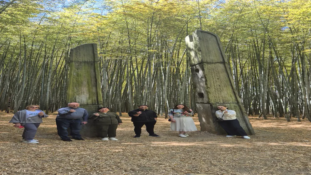 Bamboo forest landscape